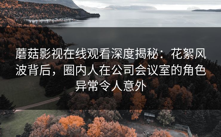 蘑菇影视在线观看深度揭秘：花絮风波背后，圈内人在公司会议室的角色异常令人意外