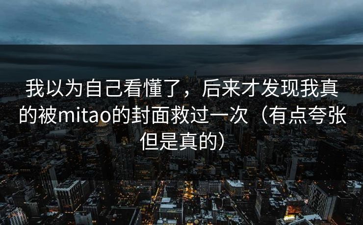 我以为自己看懂了，后来才发现我真的被mitao的封面救过一次（有点夸张但是真的）